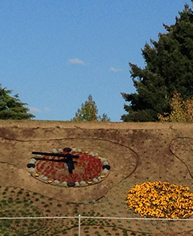 Dune de terre avec une horloge en fleur rouge